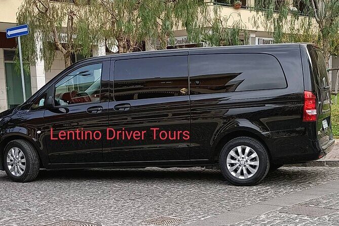 Transfer Naples Positano or vice versa - Meet-up that actually reduces stress: sign waiting and early pickups