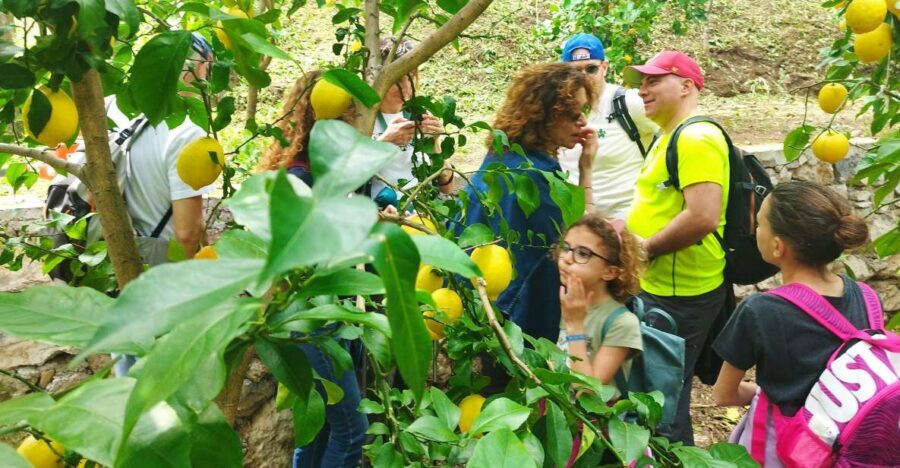 Trekking Lemon Tour - Key points to know before you go