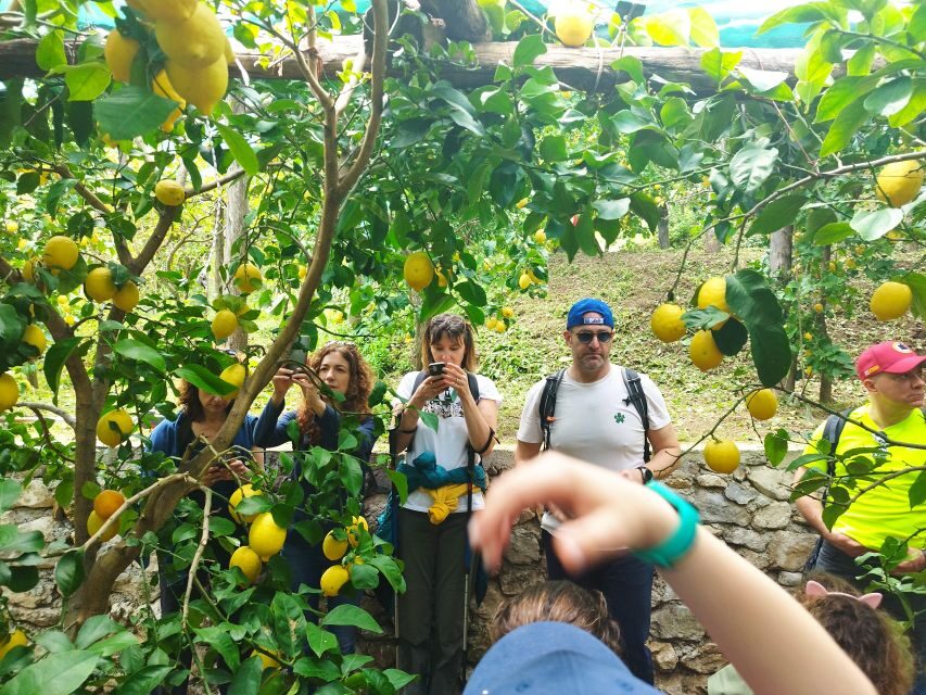 Trekking Lemon Tour - Vietri sul Mare to Raito: the start that gets your bearings fast