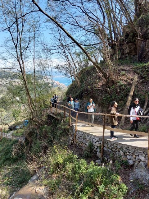 Trekking Lemon Tour - Into Monti Lattari Park: CAI trail 303a and the source of the Caesar