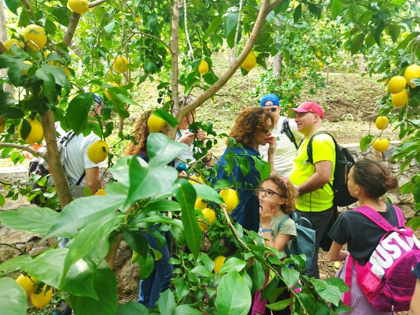 Trekking Lemon Tour - What the 4-hour schedule feels like on the ground