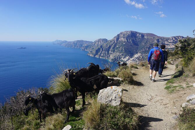 Trekking of the Amalfi Coast - 4 Days / 3 Nights - Ravello to Amalfi: Villa Rufolo, Atrani, Duomo Visits, and the Paper Museum