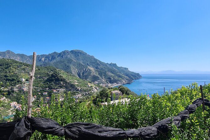Trekking of the Amalfi Coast - 4 Days / 3 Nights - Walking the Lemons’ Trail: Sentiero dei Limoni to Minori