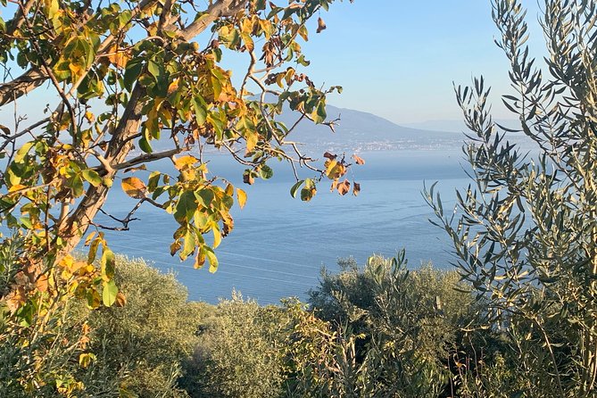 Unique Tour | Discovering Amalfi on a Minivan with driver - Food and Lunch: How to Make the Lemon Coast Work for You