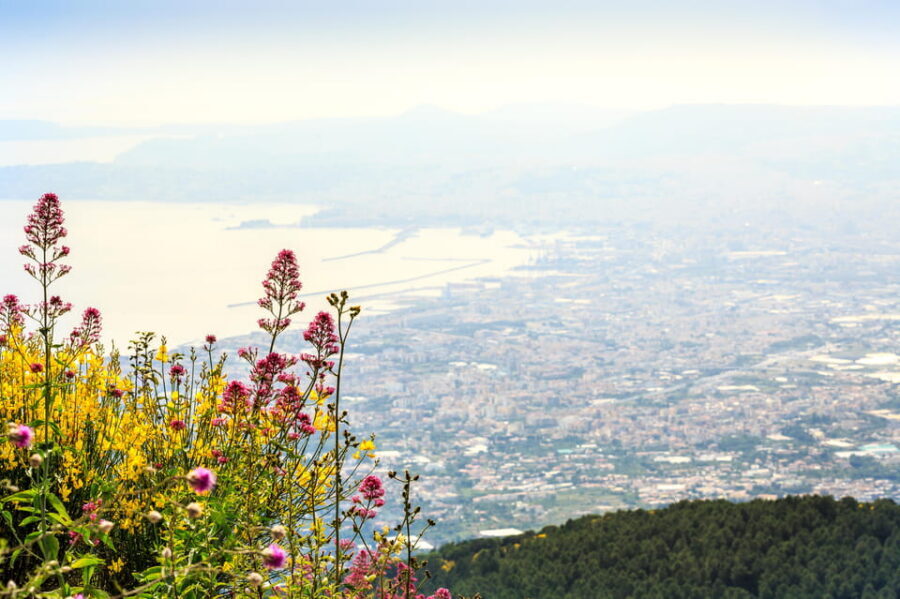 Vesuvio Skip The Line Ticket With Digital Audioguide - The WhatsApp ticket swap: simple in theory, read this first