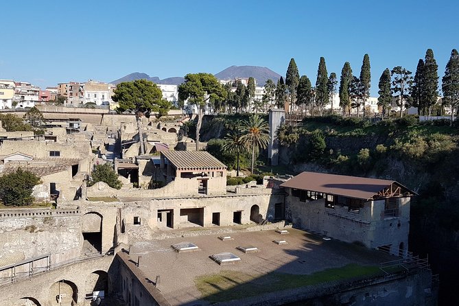 Vesuvius and Herculaneum Day Trip from Naples with Skip the Line - Vesuvius crater walk with included park admission
