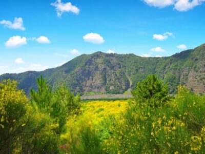 Vesuvius and Herculaneum from Naples - Vesuvius National Park: Crater Views, Time Limits, and Footwear
