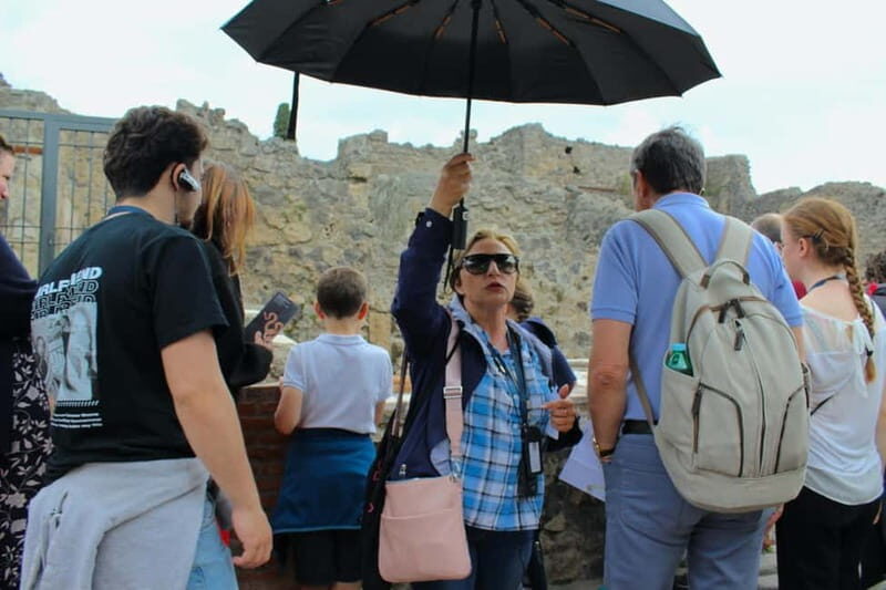 Vesuvius and Pompeii Tour from Naples All Included - Vesuvius With an Alpin Guide: A Focused Crater Visit