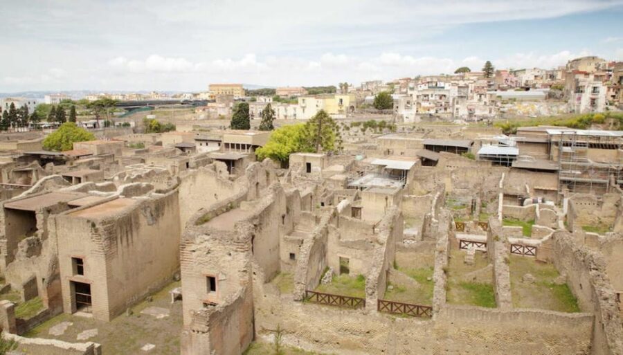 Vesuvius - Herculaneum - Pompeii Excavations Tour - Price and Value: What $95 Covers (and What It Doesn’t)
