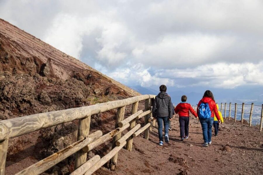 Vesuvius: Skip-the-line tickets with round trip transport - Who This Tour Fits Best