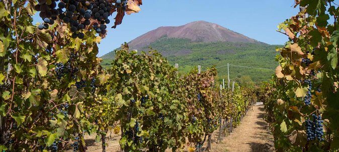 Vesuvius & Vineyard select from Sorrento - Climbing Vesuvius: What the Hike Feels Like and What to Pack