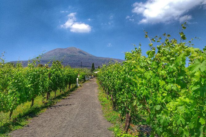 Vesuvius & Vineyard select from Sorrento - How Much Time You’ll Actually Spend at the Volcano