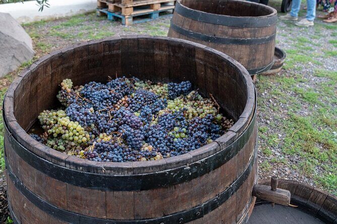Vesuvius Wine Tasting Experience with Lunch Included - Brunch appetizer and homemade spaghetti with Piennolo tomatoes