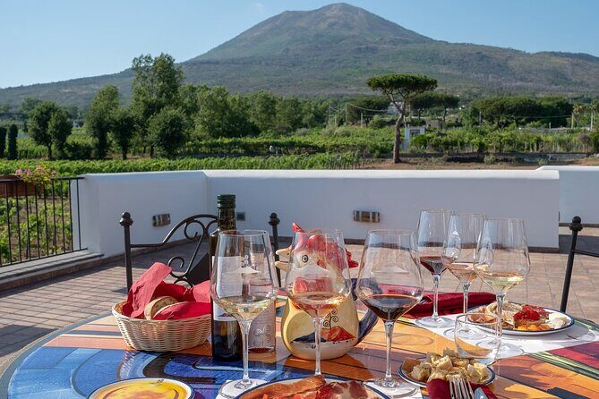 Vesuvius Wine Tasting Experience with Lunch Included - Price and value: is $88.72 fair?