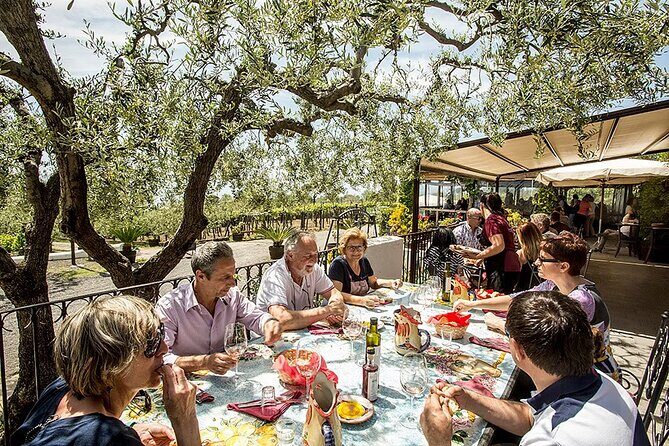 Vesuvius Wine Tasting Experience with Lunch Included - Vineyards and cantina time: what you’ll actually do