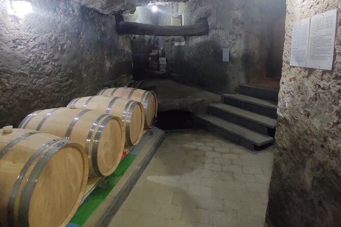 Vesuvius wine tasting with company tour - Key Highlights You Should Care About
