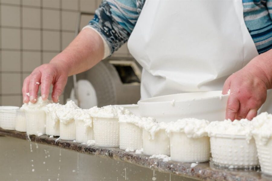 Vico Equense: Tour in the dairy "Mozzarella Experience" - Why this Vico Equense mozzarella workshop feels real