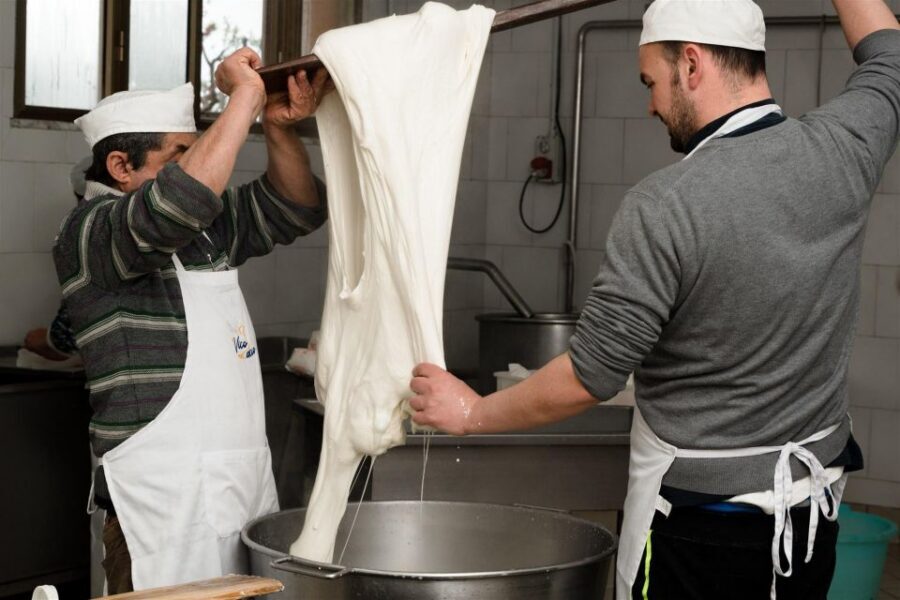 Vico Equense: Tour in the dairy "Mozzarella Experience" - Into the ancient cheese laboratory: apron, cap, and the spinning room