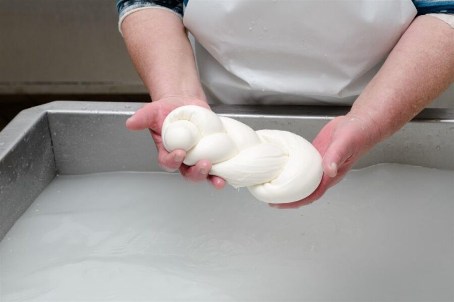 Vico Equense: Tour in the dairy "Mozzarella Experience" - What you actually learn (and why it changes how you taste)