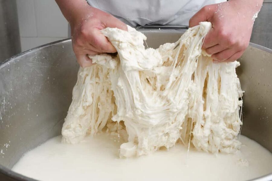 Vico Equense: Tour in the dairy "Mozzarella Experience" - Price and value: $80 for 2 hours that include lunch