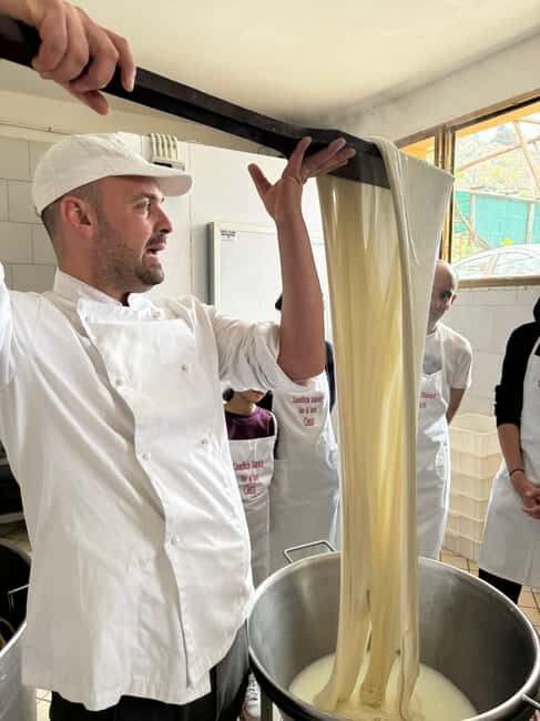 Vico Equense: Tour in the dairy "Mozzarella Experience" - Who should book this, and who should think twice