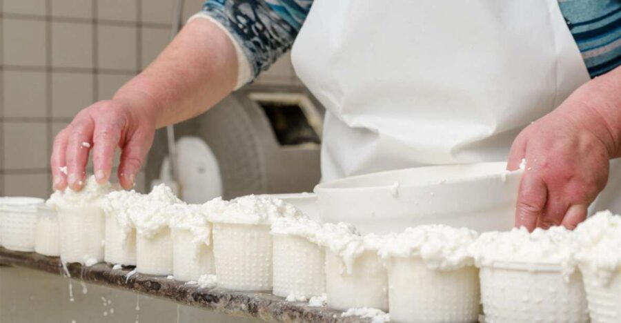 Vico Equense: Tour in the dairy "Mozzarella Experience" - Practical tips to get the best day out of it