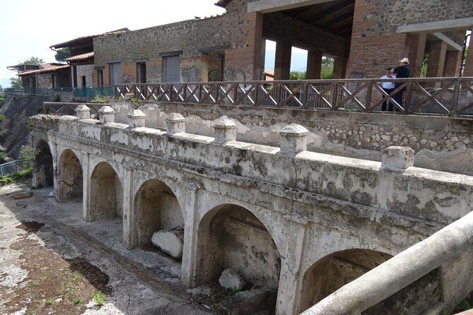 Ville di Stabiae (Transfer from Castellammare di stabia+guide) - What you get for the day: guide, transfers, and tickets