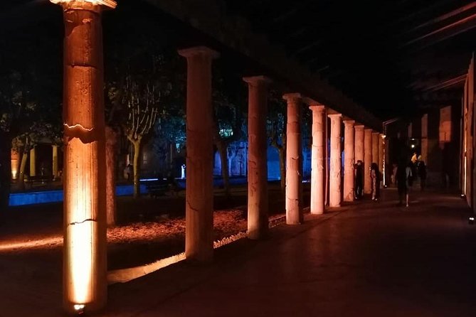 Ville di Stabiae (Transfer from Castellammare di stabia+guide) - Practical tips so your visit goes smoothly