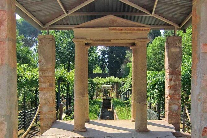 VIP Pompeii Tour including Newly Opened Houses With Archaeologist - Baths, Everyday Shops, and the Pompeii “How It Lived” Layer