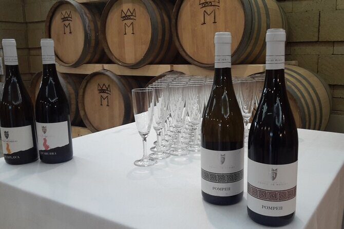Visit 2 wine producers with tasting and transportation included - Two farms, one easy Naples ride