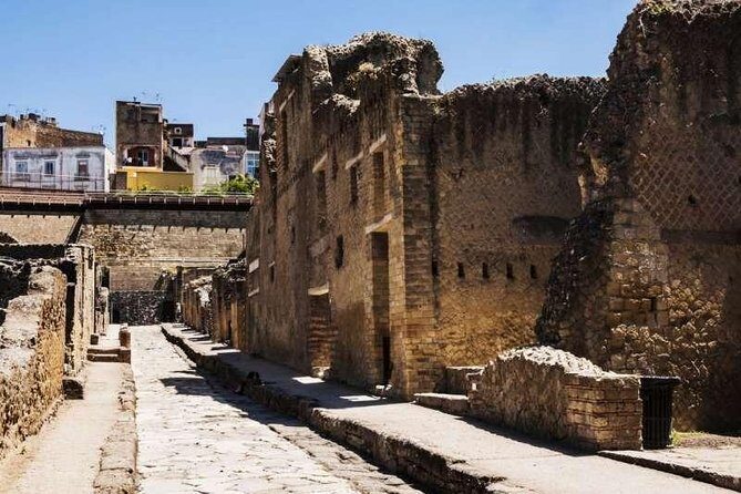 Visit Herculaneum with an expert professional guide (2/3 hours) - FAQ