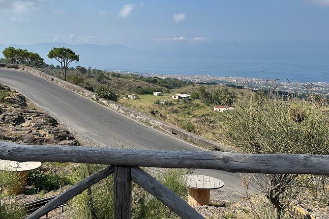 Visit Mt Vesuvius & Pompeii skip the line tickets from naples - Should you book this Mt Vesuvius and Pompeii transfer?