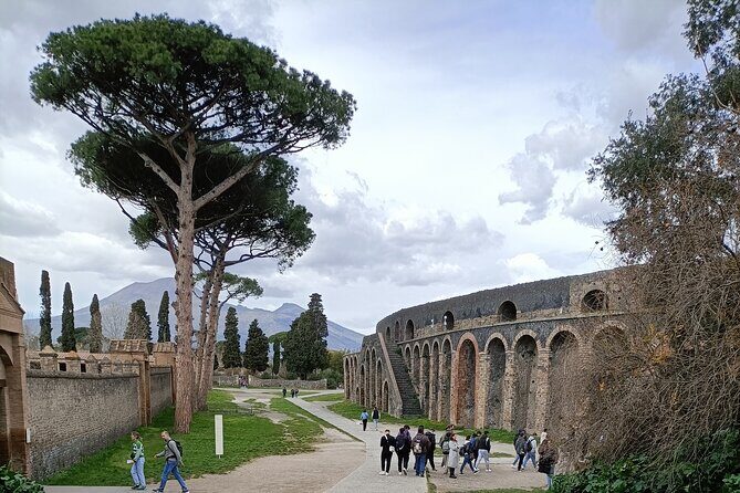 Visit Pompeii Sorrento Positano - Key highlights you’ll feel fast