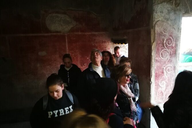 Visit Pompeii with an expert professional guide (2/3 hours) - 79 AD and the volcano story: why the casts matter
