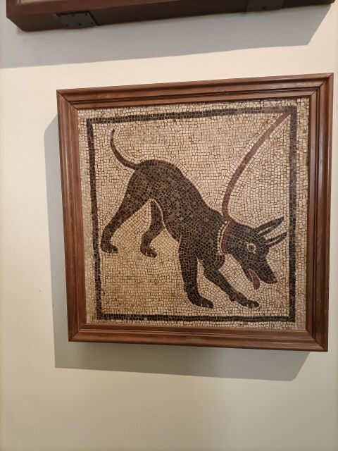 Visit the Museum MANN with a professional guide - The 2-hour plan inside the Naples National Archaeological Museum