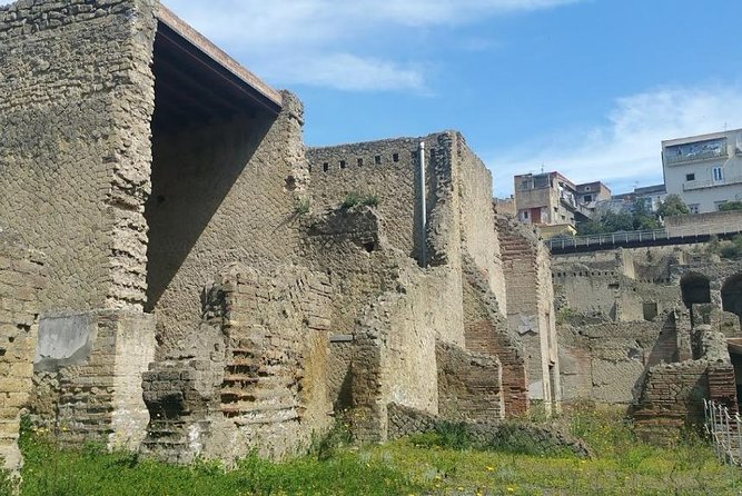 Visit to the archaeological park of Herculaneum - Who This Private Herculaneum Visit Is Best For