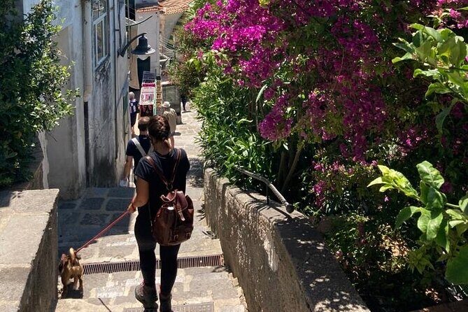 Walking tour from Minori to Maiori along the Path of the Lemons - The guide experience: pacing that keeps the stairs friendly