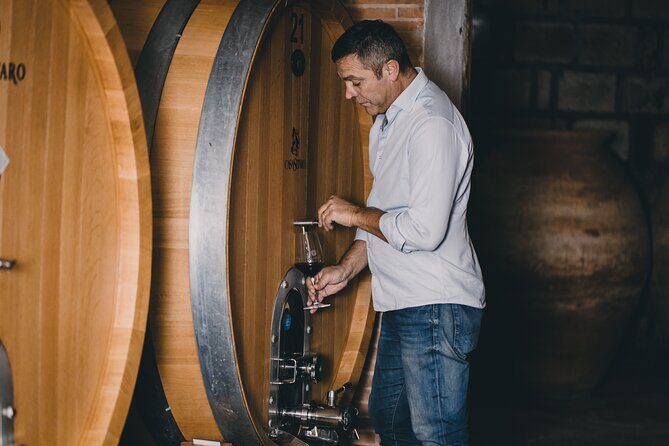 Wine Tasting and Winery Tour in Vesuvio National Park with Lunch - Key highlights worth your time