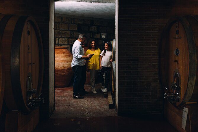 Wine Tasting and Winery Tour in Vesuvio National Park with Lunch - Volcanic terroir you can actually picture