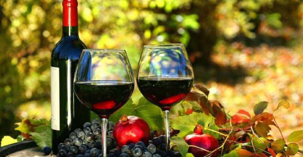 Wine Tasting Experience on the slopes of Vesuvius - Key highlights worth your time