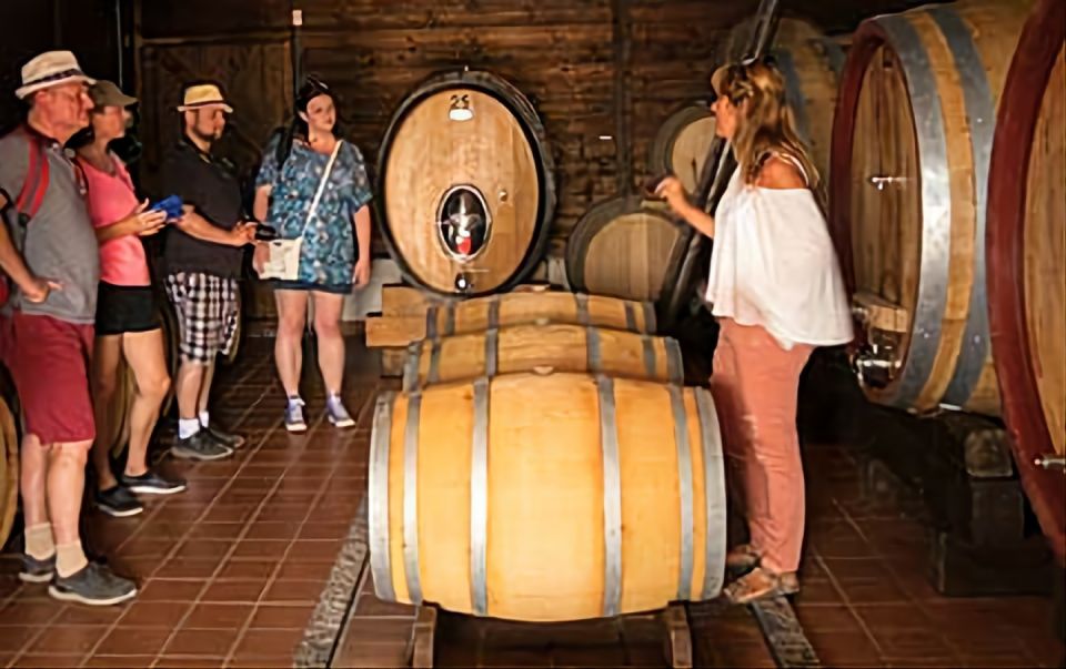Wine Tasting Experience on the slopes of Vesuvius - Who this tour suits best
