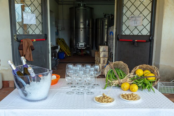 Wine Tasting in Campi Flegrei from Naples - Cellar time: how grapes become wine