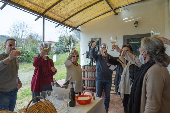 Wine Tasting in Campi Flegrei from Naples - Price and value: what $169.24 gets you in Campi Flegrei