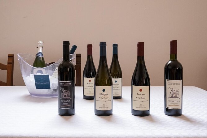 Wine Tasting in Campi Flegrei from Naples - Walking the volcanic vineyards with Vittoria and Mara