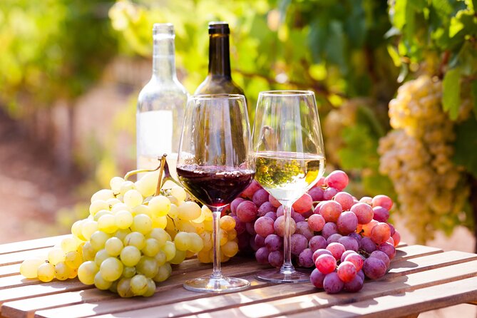 Wine tasting in the Vesuvius national park - Key Points to Know Before You Go