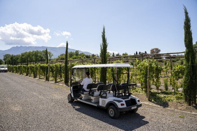 Wine Tasting Including Lunch - Four Courses and Wine Pairing: What You’re Actually Paying For
