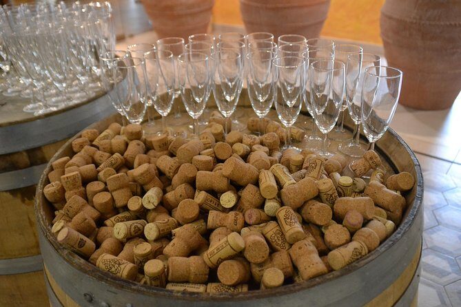 Wine Tour Experience for Family or friend's group - Wine tasting lunch: what you get, and why it’s the best use of time