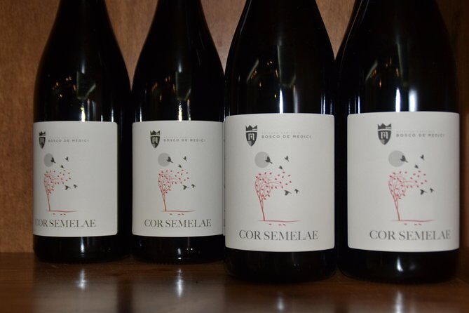 Wine Tour Experience for Family or friend's group - English-speaking guide and the Daniele/Denise difference