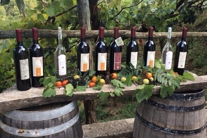 Wine Tour (lunch included) - Price and Value: Is $358.86 Worth It?